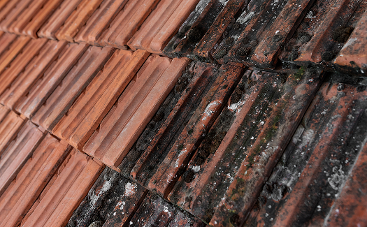 Entretien de la toiture