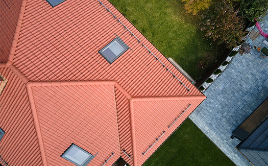 Adaptations environnementales